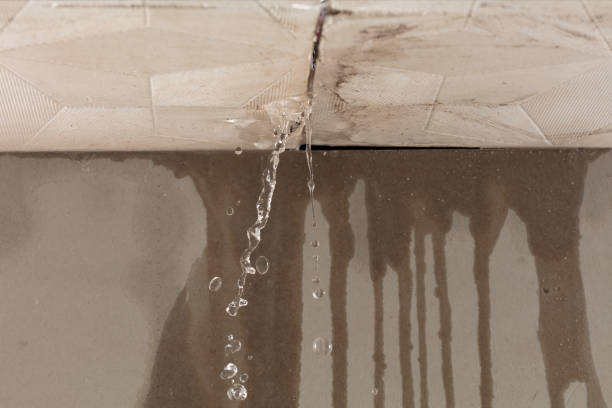 Professional Structural Drying technician working in Milford, UT